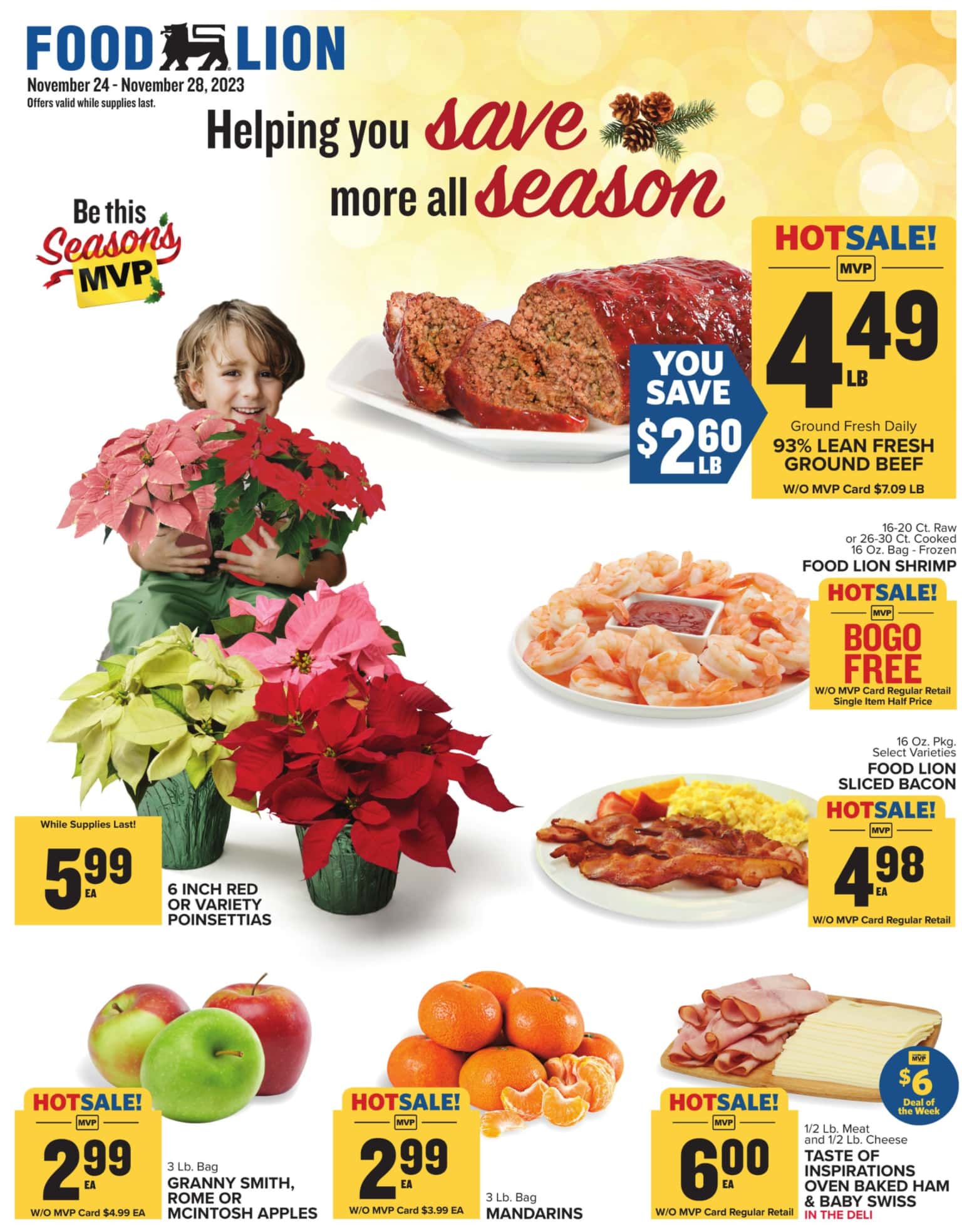 Food Lion Weekly Product Sales